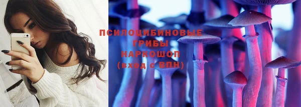 ПСИЛОЦИБИНОВЫЕ ГРИБЫ Балахна