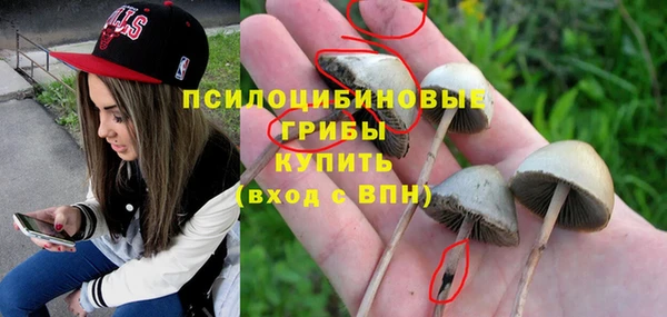 ГАЛЛЮЦИНОГЕННЫЕ ГРИБЫ Аркадак