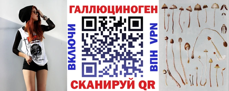 продажа наркотиков Плёс Псилоцибиновые грибы Magic Shrooms